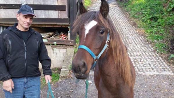 Unser Pony Hero